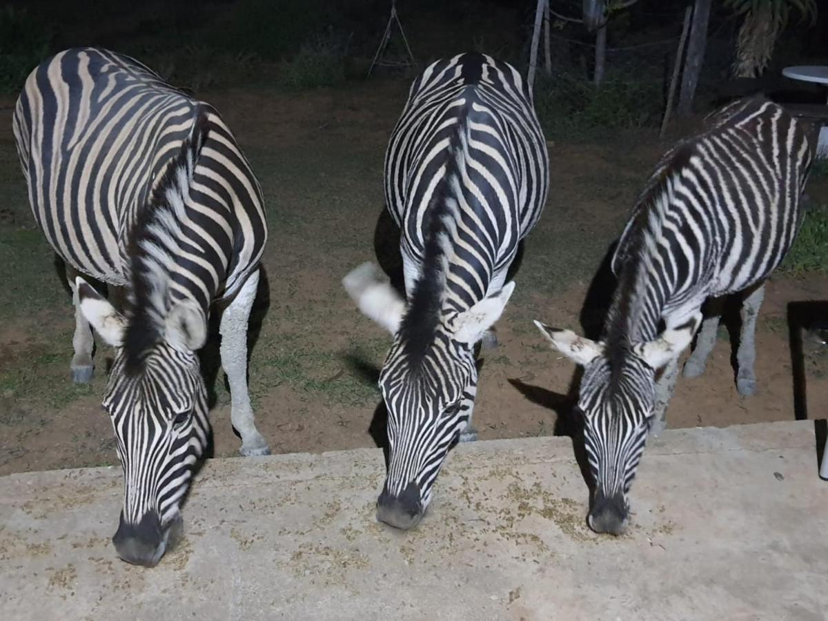 Kudu Ridge Game Lodge Addo Exterior foto