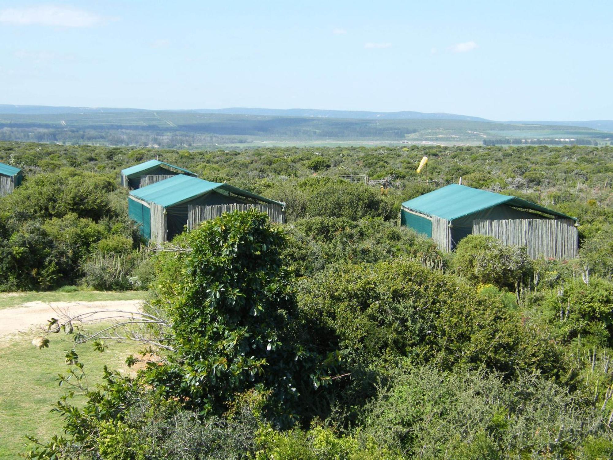 Kudu Ridge Game Lodge Addo Zimmer foto